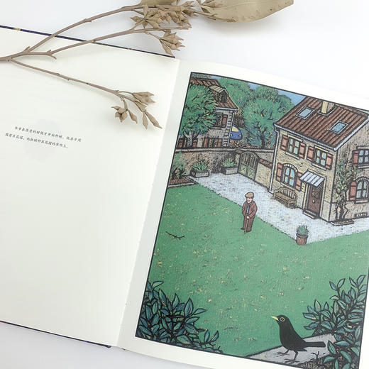 (仓发) 爷爷的种子（诗意而富有哲理的生命教育绘本，描绘梦想、成长与希望之美）浪花朵朵/花山文艺出版社/[法]亚历克西-热尼/9787551145282 商品图7