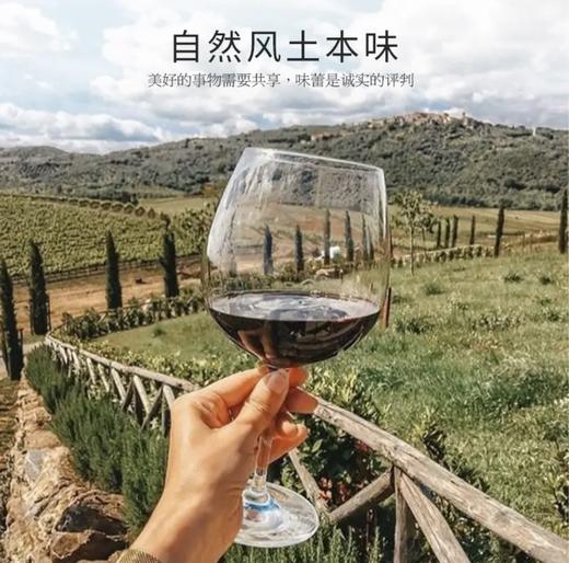 【连续六年智利一级庄】安第斯之翼赤霞珠红葡萄酒 智利 商品图2