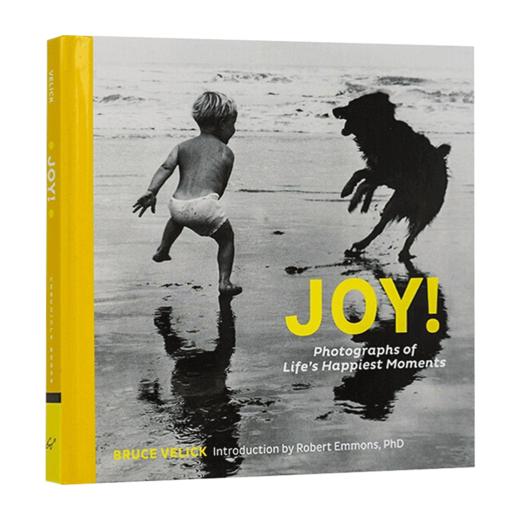 快乐 生活中最快乐时刻的影集 英文原版 Joy! Photographs of Life's Happiest Moments 治愈摄影集 英文版进口英语书籍 商品图1
