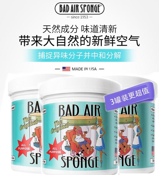 【3罐装更划算】美国进口 Bad Air Sponge 甲醛清除剂空气净化剂新房新 400g/罐 孕妈适用 甲醛装修异味（一般贸易） 商品图0