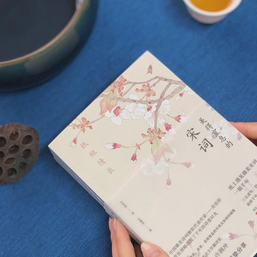 美得让人窒息的唐诗宋词诗经（全3册）中英双语诗画集 100岁译界泰斗许渊冲亲译 商品图5