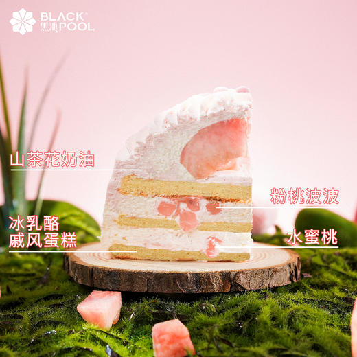 （预约验券专用）雪顶桃桃，验券不成功不发货，选择款式，备注平台+券码，下单支付0.01元即可 商品图4