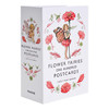 花仙子明信片100张 英文原版 Flower Fairies One Hundred Postcards  手绘明信片 花精灵 周边 英文版进口英语书籍 商品缩略图0