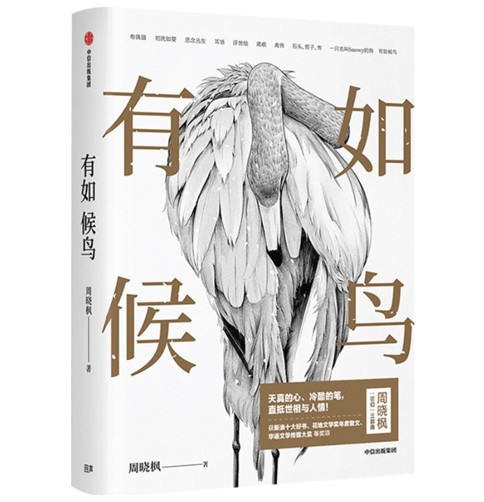 【签名本】《有如候鸟》周晓枫著