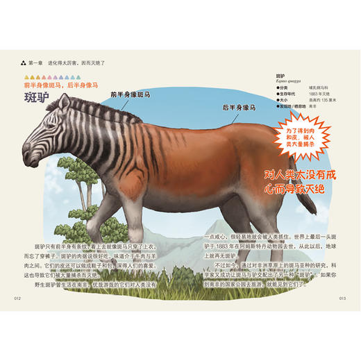 今泉忠明《我的进化之路》  上海少儿 商品图1