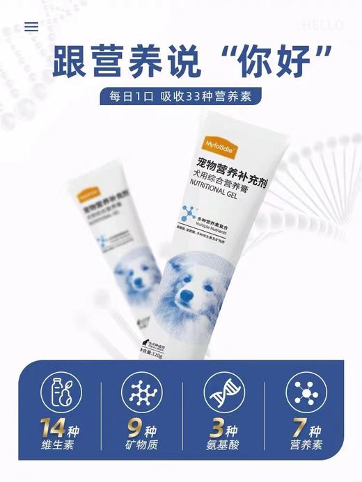 麦富迪狗狗营养膏增强免疫力泰迪金毛营养品补钙调理肠胃增肥 商品图2
