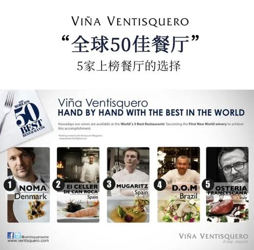 【连续六年智利一级庄】安第斯之翼赤霞珠红葡萄酒 智利 商品图4