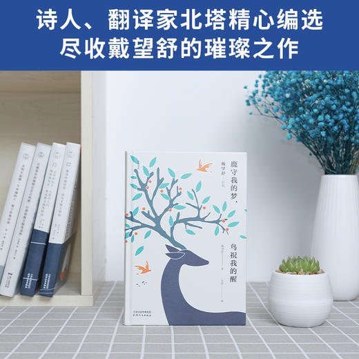 (仓发) 鹿守我的梦，鸟祝我的醒：戴望舒诗选（精装版赠送有声朗诵音频星辰文库系列）领读文化出品/天津人民出版社/戴望舒/9787201155173 商品图1