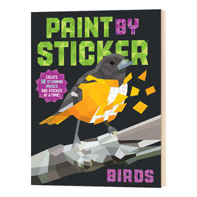 贴图画册 鸟 英文原版 Paint by Sticker Birds 英文版进口原版英语艺术类书籍
