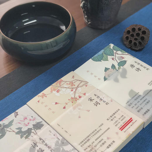 美得让人窒息的唐诗宋词诗经（全3册）中英双语诗画集 100岁译界泰斗许渊冲亲译 商品图4