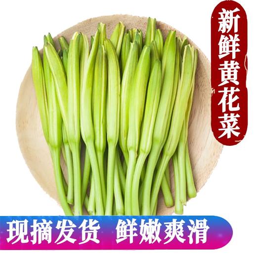 新鲜黄花菜 金针菜 忘忧草  礼盒装  1500g 商品图1