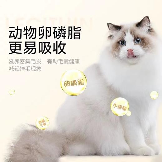 麦富迪猫咪零食冻干鹌鹑蛋黄100g卵磷脂补钙营养增肥发腮成幼猫狗通用 商品图3