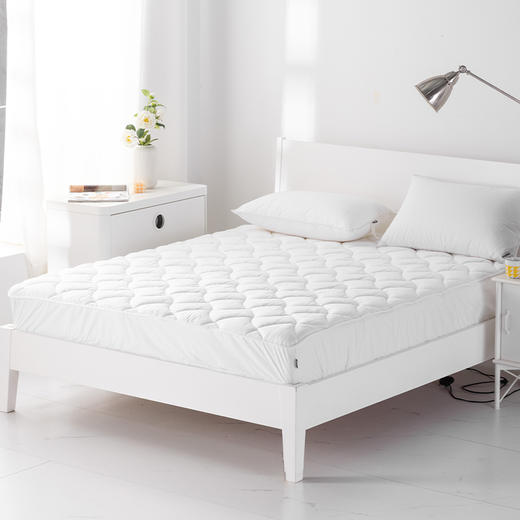 多喜爱 卡索尔抗菌笠围保护垫 cs 商品图2