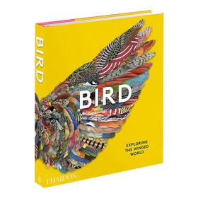 鸟类 探索有翅膀的世界 英文原版 Bird Exploring the Winged World 科学科普图鉴画册 英文版 进口英语原版书籍