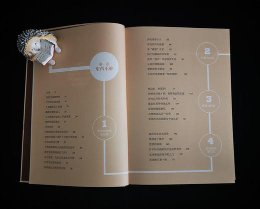 (仓发) 经济学通识(第2版) 奇葩说导师薛兆丰教授的经济学入门读物/北京大学出版社/薛兆丰/9787301258699 商品图9