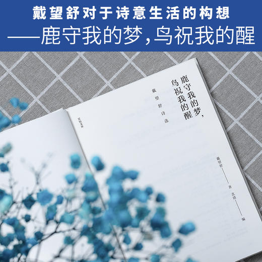 (仓发) 鹿守我的梦，鸟祝我的醒：戴望舒诗选（精装版赠送有声朗诵音频星辰文库系列）领读文化出品/天津人民出版社/戴望舒/9787201155173 商品图3