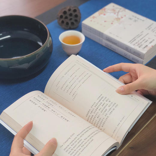 美得让人窒息的唐诗宋词诗经（全3册）中英双语诗画集 100岁译界泰斗许渊冲亲译 商品图6