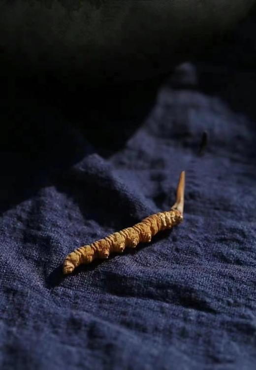 央珍野生冬虫夏草圆盘礼盒1200条规格送礼包邮 商品图4