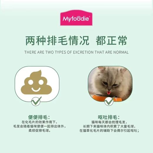 麦富迪猫草化毛片成幼猫咪去毛吐毛促排毛球补充维生素化毛膏100g 商品图2