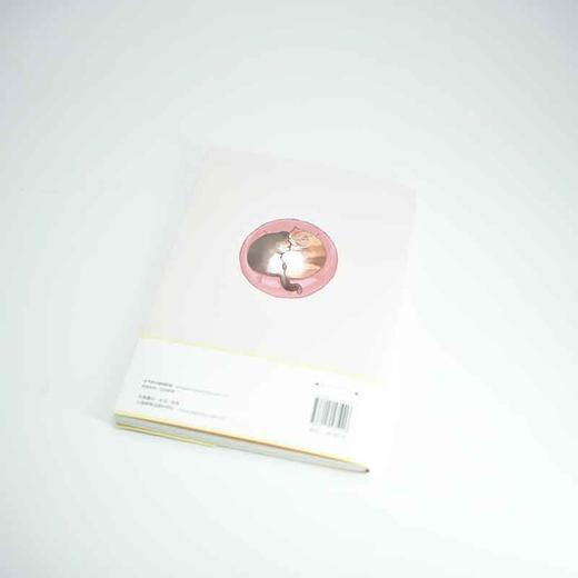 养猫书籍 新手养猫指南从读懂猫咪心理到温暖相伴一生 宠物书籍 猫咪书籍 商品图8