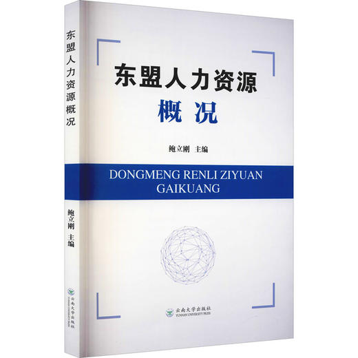 东盟人力资源概况 商品图0