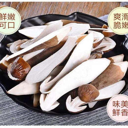 新鲜黑皮鸡枞菌十堰特产 商品图2