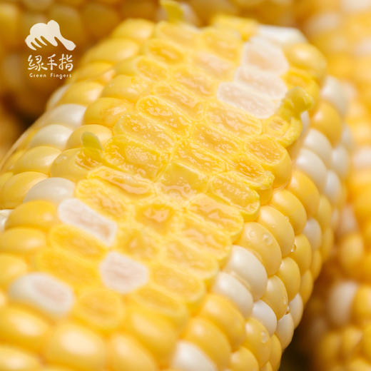 生态陕西水果玉米 | 合作生产*Eco-Fruit corn  | Coproduction 商品图3