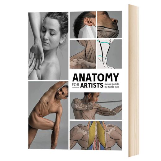 艺术家的解剖 英文原版 Anatomy for Artists 进口艺术 英文版 进口英语书籍 商品图1