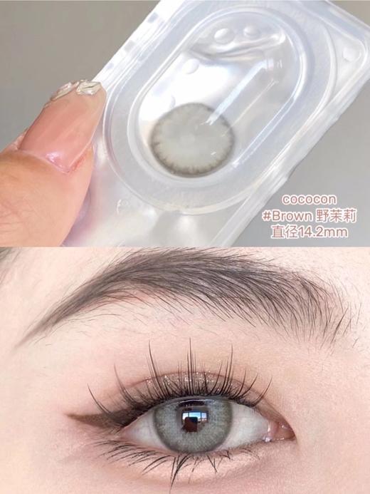 Cococon单款-野茉莉225/250缺货 商品图9