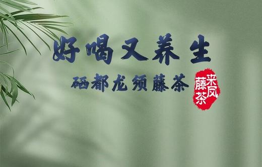 LF来凤藤茶春上寻40g 商品图2