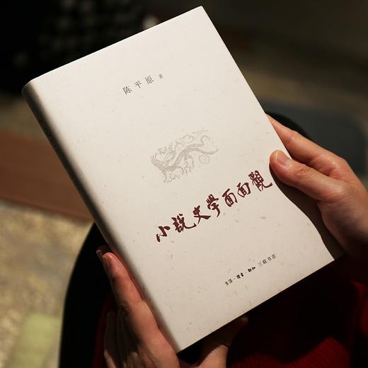 (仓发) 陈平原：小说史学面面观/生活·读书·新知三联书店/陈平原/9787108072160 商品图1