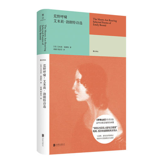 雅众诗丛国外卷（套装9册） 商品图3