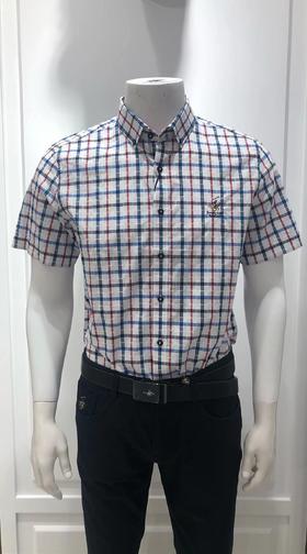 4F比华利保罗 短袖衬衫