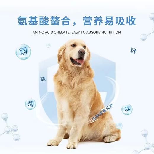 麦富迪狗狗微量元素200片宠物营养品金毛泰迪异食症 商品图3