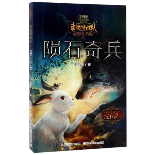 (仓发) 中国原创奇幻动物小说·动物特战队：陨石奇兵/浙江少年儿童出版社/程婧波/9787534298936 商品图0