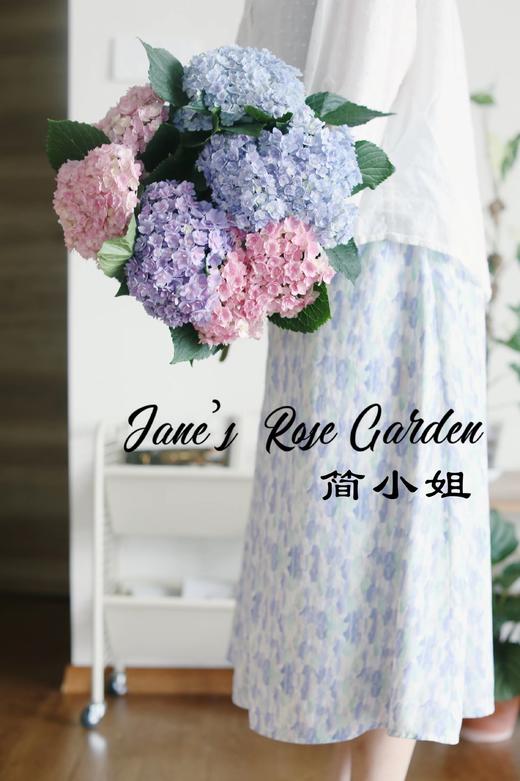 绣球季【这个世界一定会好的！】 简小姐精选绣球合辑 5枝顺丰冷链包邮 下单7天内发货 商品图4
