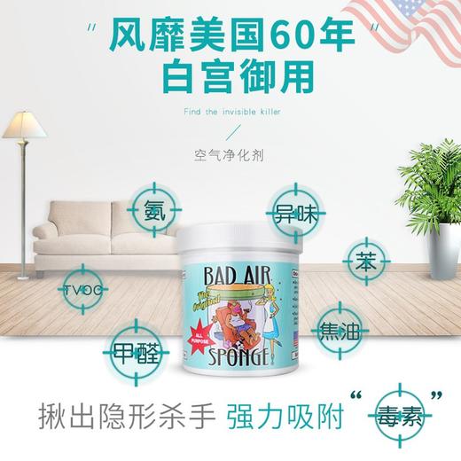 【3罐装更划算】美国进口 Bad Air Sponge 甲醛清除剂空气净化剂新房新 400g/罐 孕妈适用 甲醛装修异味（一般贸易） 商品图8