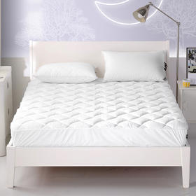 多喜爱 卡索尔抗菌笠围保护垫 cs