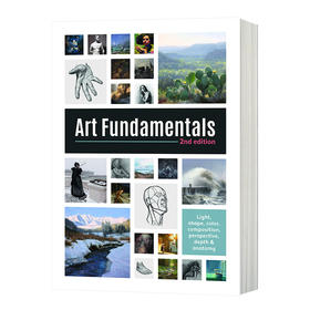 艺术基础 英文原版 Art Fundamentals 2nd edition 第二版 光 形状 颜色 透视 深度 构图 英文版进口原版英语书籍