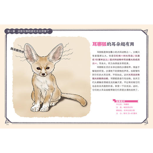 今泉忠明《我的进化之路》  上海少儿 商品图9