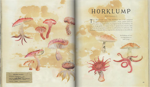 神奇动物在哪里 英文原版 Fantastic Beasts and Where to Find Them 哈利波特系列 插画彩绘版 JK罗琳 平装 英文版进口英语书籍 商品图2