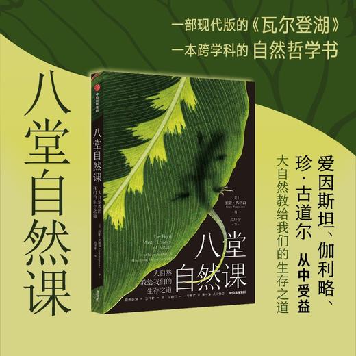 (仓发) 八堂自然课：大自然教给我们的生存之道 盖瑞弗格森 著 现代版 瓦尔登湖/中信出版集团/盖瑞·弗格森（Gary,Ferguson）/9787521736311 商品图0