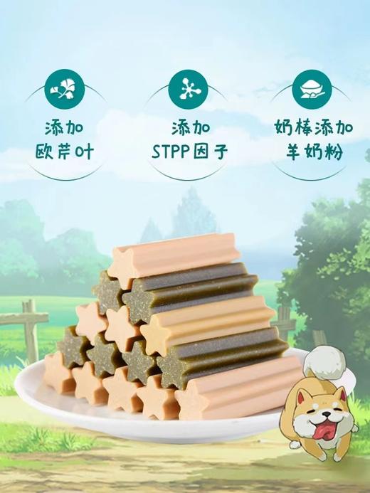 麦富迪清口香狗狗零食磨牙棒宠物洁齿棒金毛泰迪中小型犬咬胶洁齿骨220g 商品图3