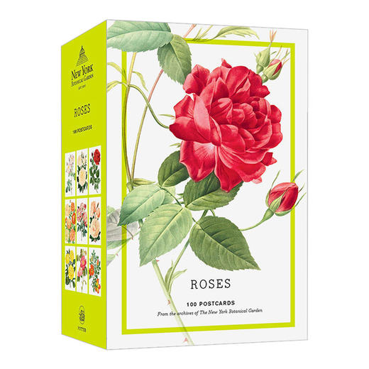 玫瑰 来自纽约植物园档案馆的 100 张明信片 英文原版 Roses 100 Postcards 精美花草插图 英文版 进口英语书籍 商品图0