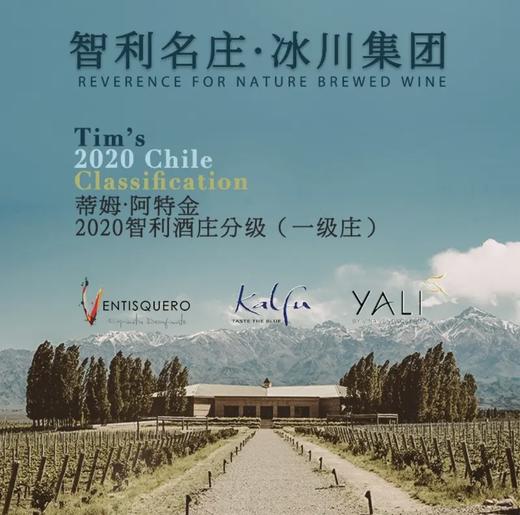 【连续六年智利一级庄】安第斯之翼赤霞珠红葡萄酒 智利 商品图6