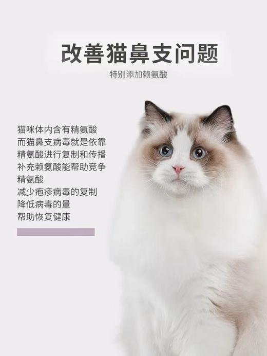 麦富迪猫咪羊奶粉300g猫猫专用幼猫成猫宠物怀孕营养品补钙保健品 商品图3