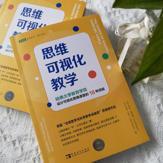 思维可视化教学：哈佛大学教育学院设计可视化思维课堂的18种流程 商品图2