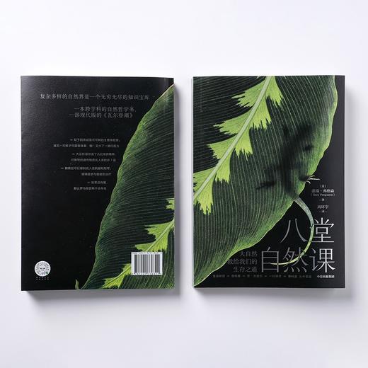 (仓发) 八堂自然课：大自然教给我们的生存之道 盖瑞弗格森 著 现代版 瓦尔登湖/中信出版集团/盖瑞·弗格森（Gary,Ferguson）/9787521736311 商品图3
