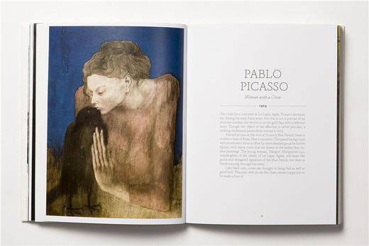 鸟之书 英文原版 The Book of the Bird Birds in Art 艺术中的鸟 鸟类画册 插画集 英文版进口原版英语书籍 商品图2