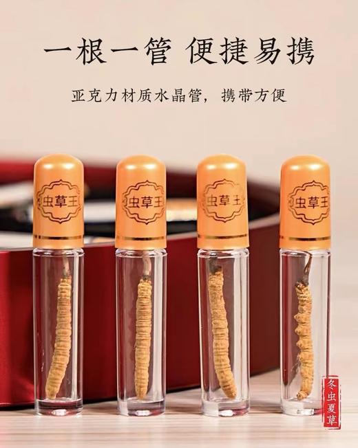 央珍野生冬虫夏草圆盘礼盒1700条规格送礼包邮 商品图5